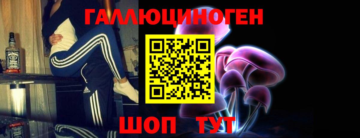 Тимашёвск  Псилоцибиновые грибы мухоморы  Вход с VPN  Псилоцибиновые грибы Magic Shrooms 